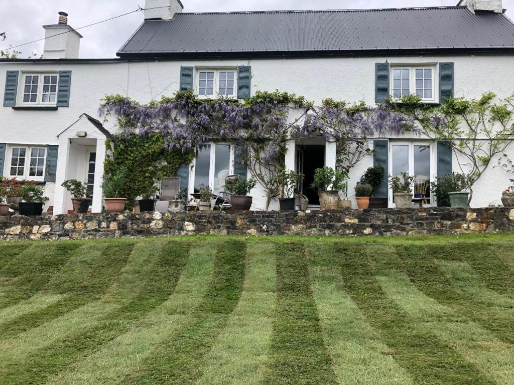 a white house with wisteria on the front yard at Brentor Self-catering in Brentor