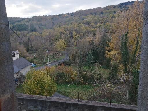 widok na wzgórze z domem i drzewami w obiekcie les granges w mieście Saint-Nectaire