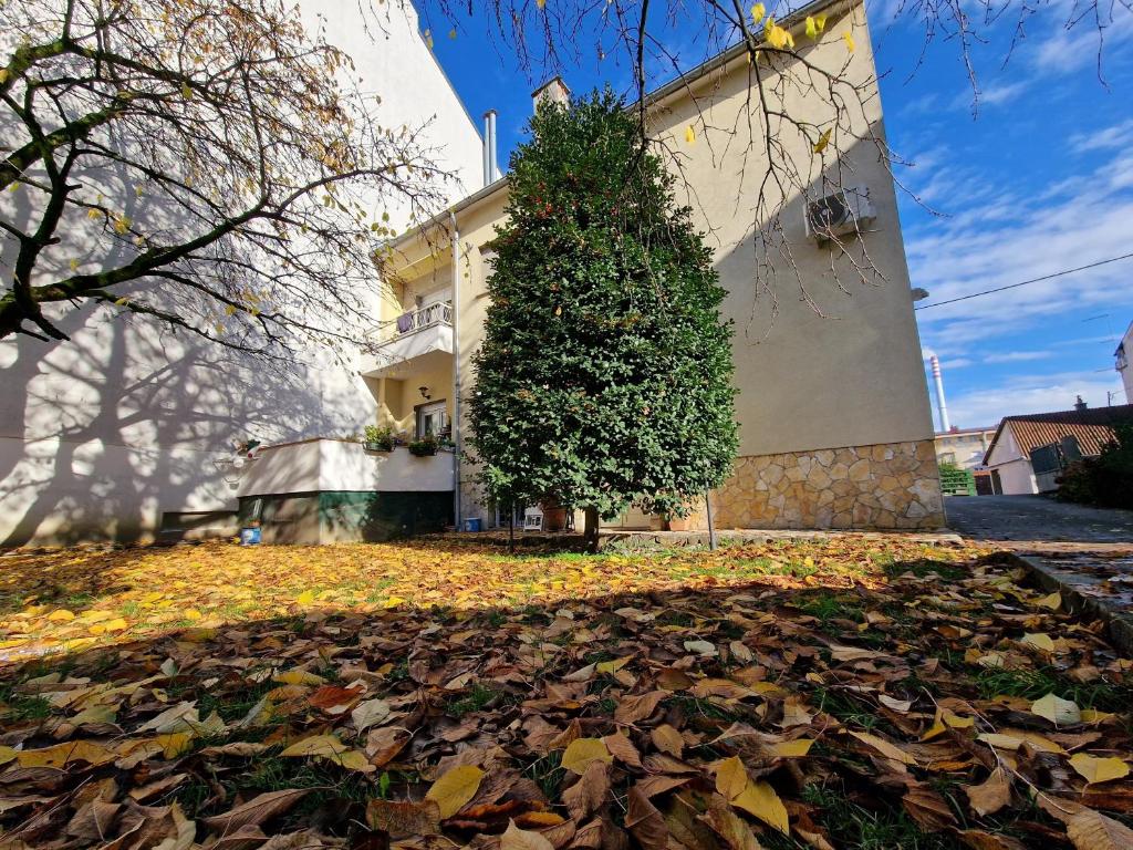 Vonkajšia záhrada v ubytovaní GretaNola studio in Zagreb, parking, self check-in