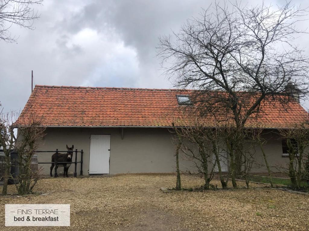 a horse is standing in front of a house at Appartement aan Puyenbroeck in Wachtebeke