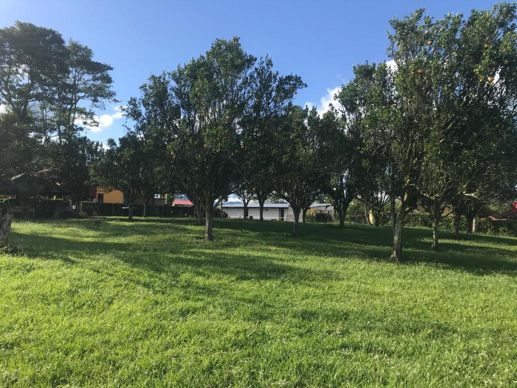 Loodusmaastik hosteli lähedal