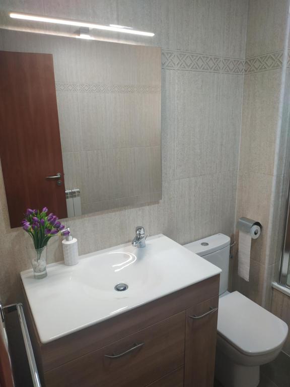 a bathroom with a sink and a toilet and a mirror at APARTAMENTO EN CENTRO PUEBLO in Ribes de Freser