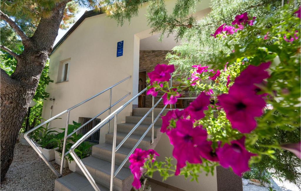 Vonkajšia záhrada v ubytovaní Holiday Home Don Ante Adzije Iii
