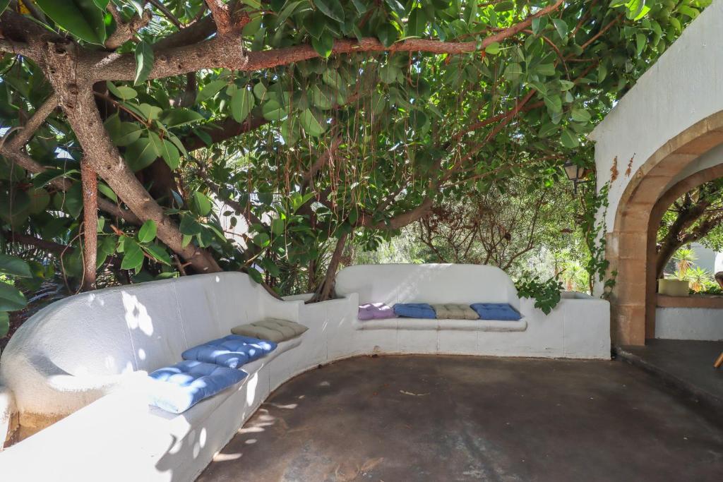 Zahrada ubytování Casa Algarrobo