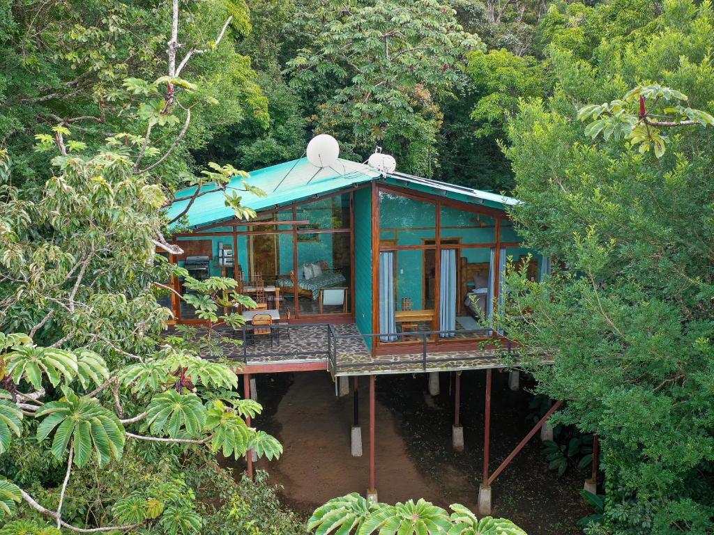 uma casa verde no meio de uma floresta em Above the Gulf, Vacation House em Monteverde
