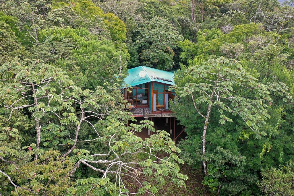 Above the Gulf, Vacation House - Holiday Home