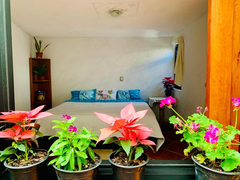 Fotografie z fotogalerie ubytování Casa Rústica v destinaci Atlixco