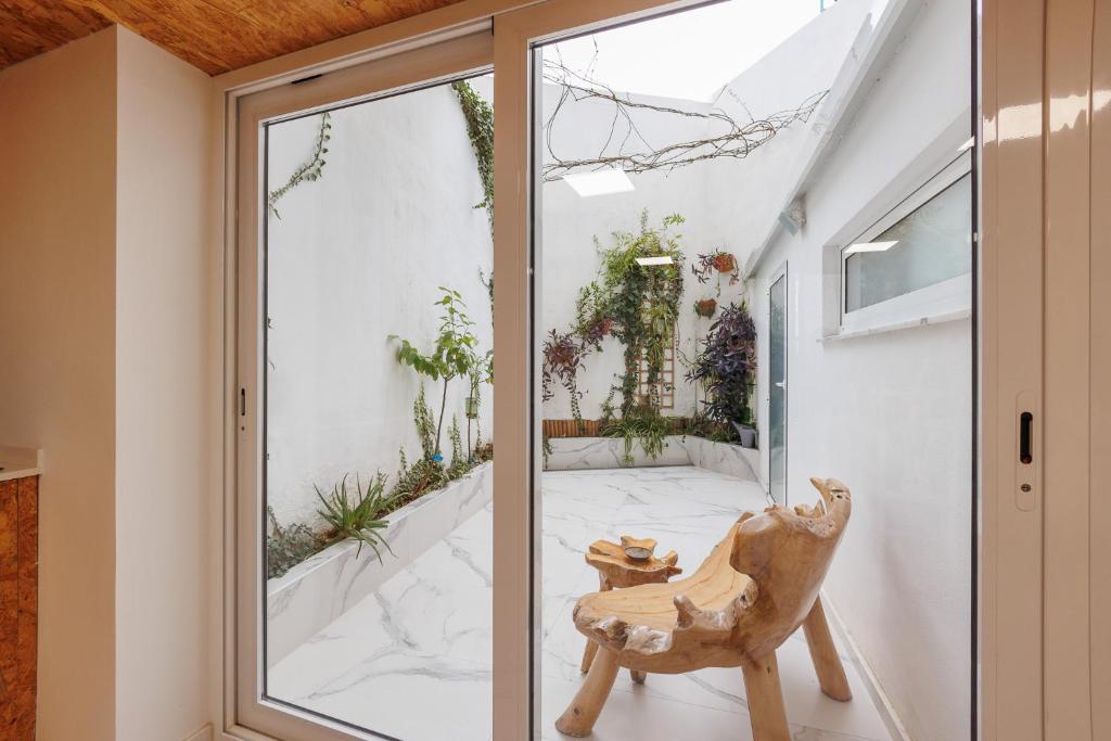 Domáce zviera alebo zvieratá hostí v ubytovaní Loft con mucha luz en el centro Barrio Ruzafa