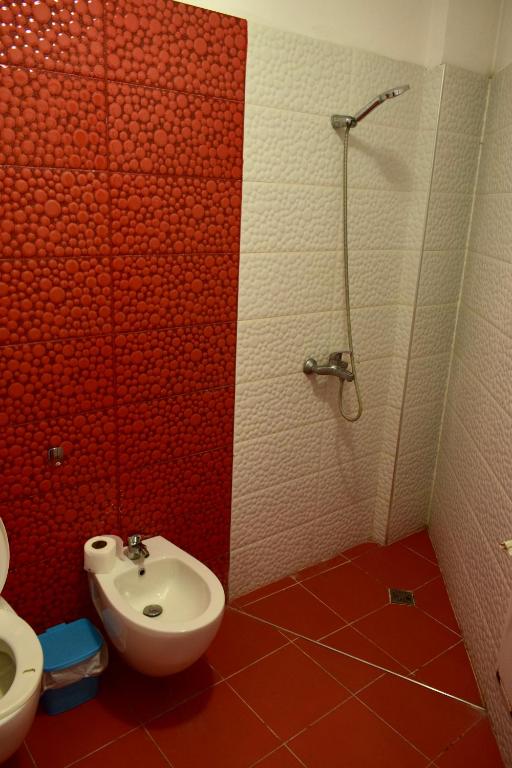 Lili's Apartament Tirana - Imazhi 8