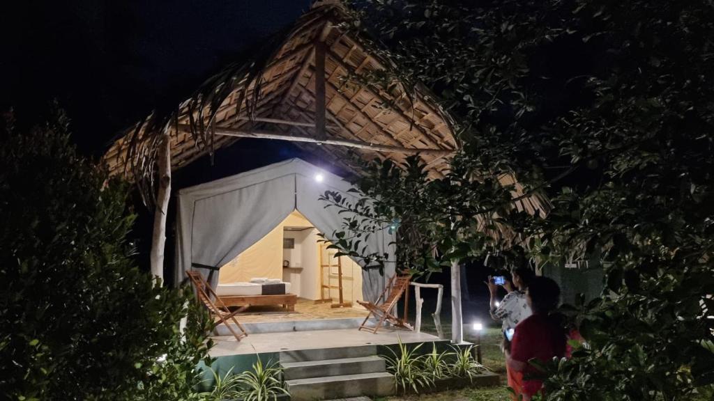 une petite maison avec un toit de chaume la nuit dans l'établissement Jungle View River Camping, à Uda Walawe