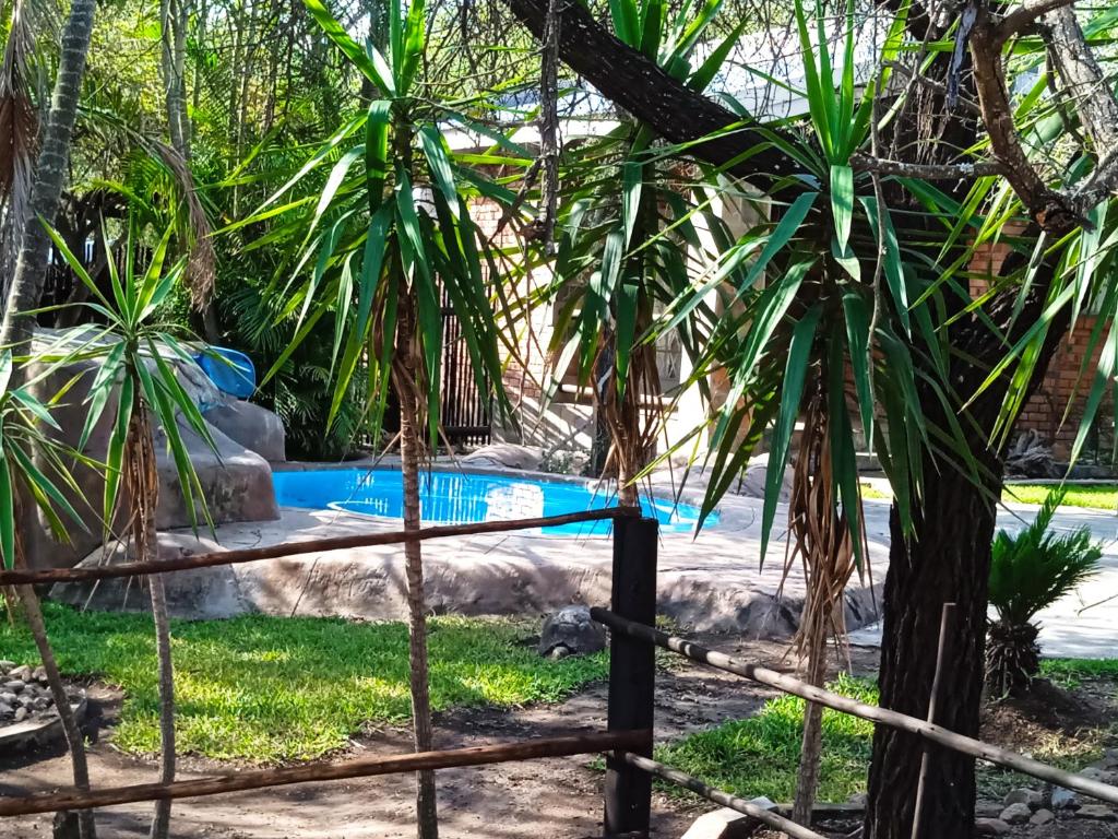 a pool in a garden with palm trees at Bellamia in Marloth Park