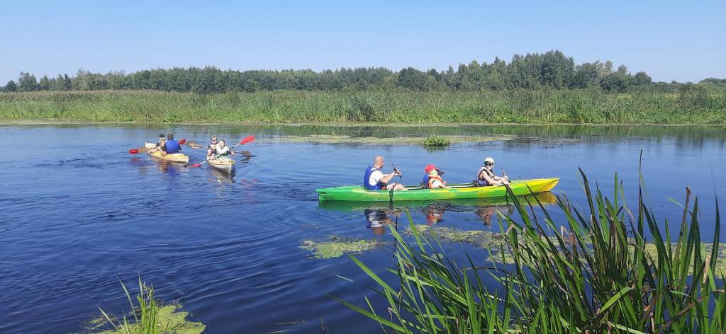 a group of people in kayaks on a river at POLE NAMIOTOWE nad rzeką BIEBRZA w GONIĄDZU in Goniadz