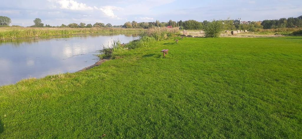 Príroda v okolí luxusného stanu