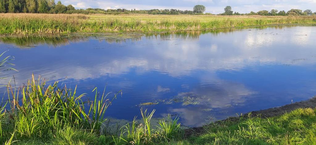Príroda v okolí luxusného stanu