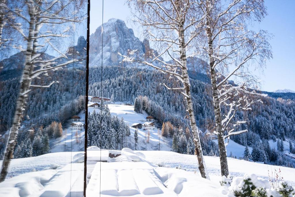 een raam met uitzicht op een besneeuwde berg bij Villa Carolina in Selva di Val Gardena