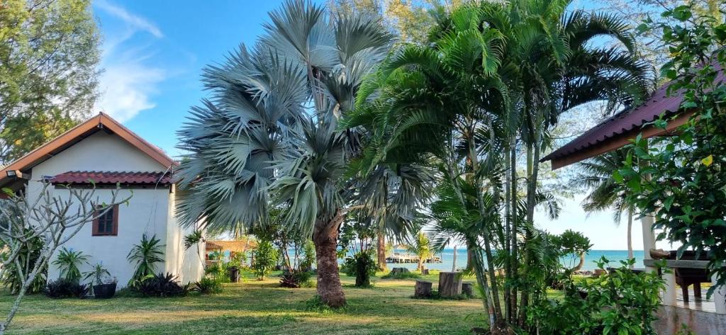 a palm tree in front of a house at TK Beach Resort Koh Mak in Ko Mak