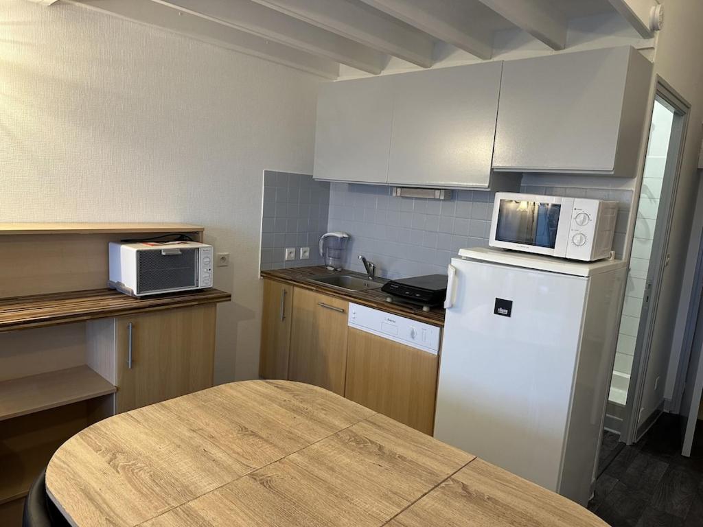 Kuchyň nebo kuchyňský kout v ubytování APARTMENT DAMGAN VUE MER
