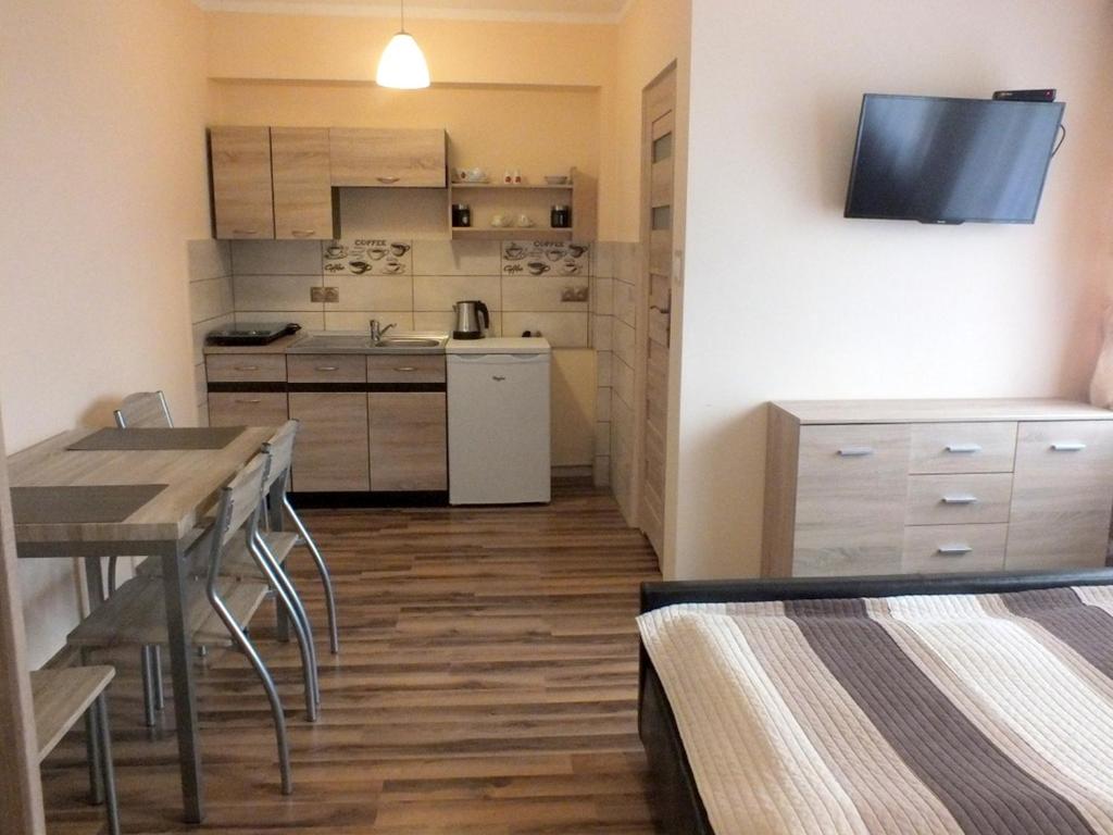 Pokoje Sylwia z aneksami kuchennymi w każdym pokoju - Studio With Kitchenette