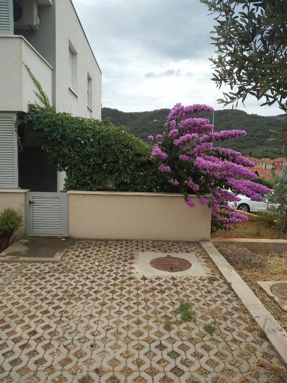 Zdjęcie z galerii obiektu Apartman Paiz w mieście Stari Grad