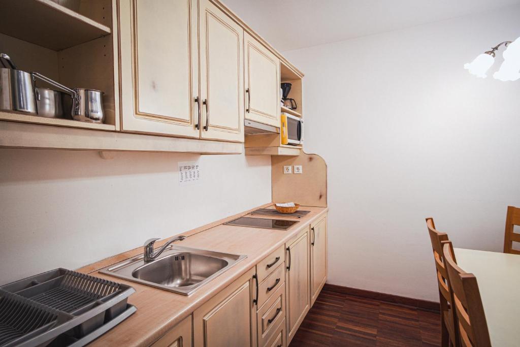 Apartments Telemark Kranjska Gora - One-Bedroom Apartment With Terrace