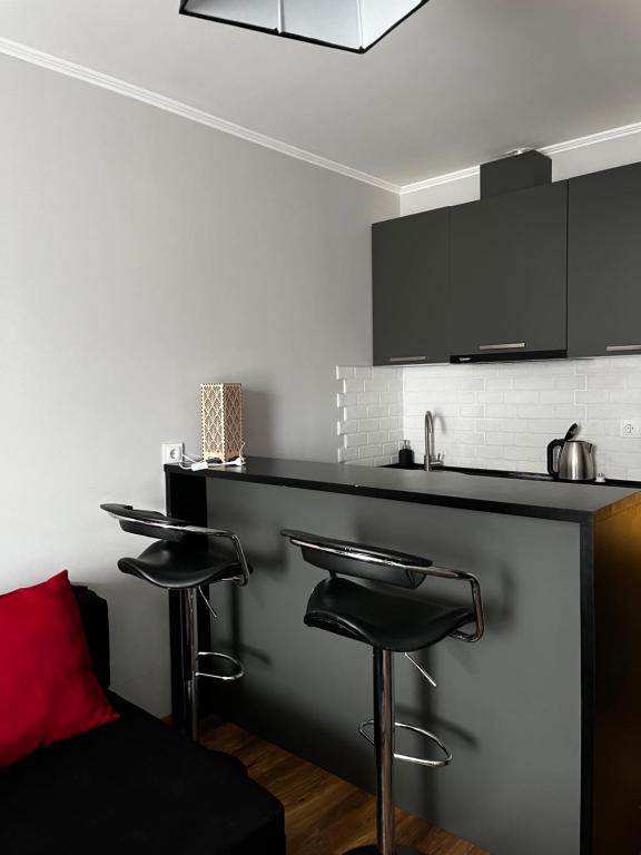 Kuchyň nebo kuchyňský kout v ubytování SkiLuxe New Gudauri - Loft 2