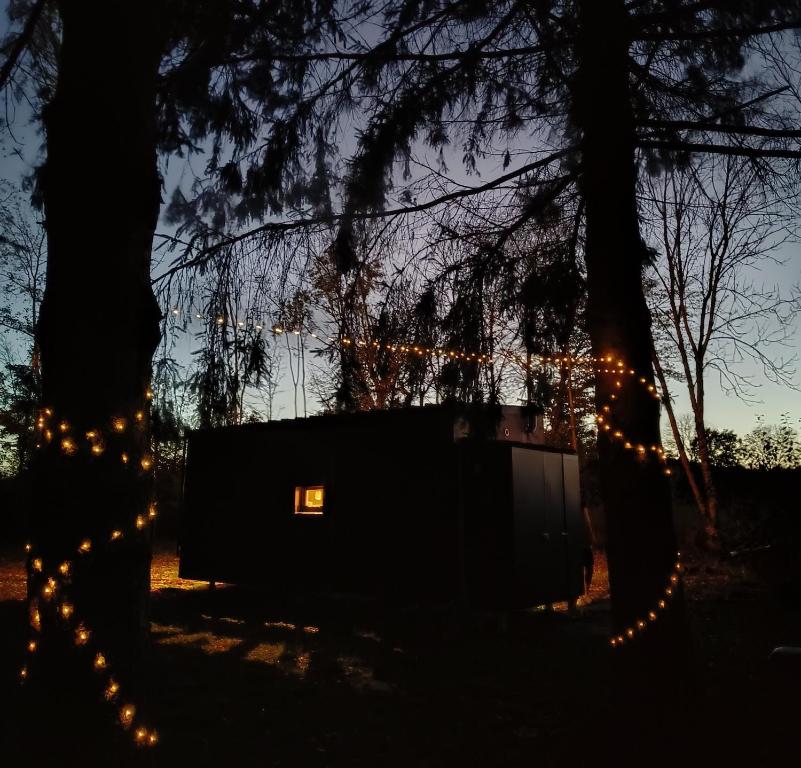 a cabin in the woods with christmas lights at Homnest Morvand'Ailes - Cocon immersif en Morvan in Saulieu