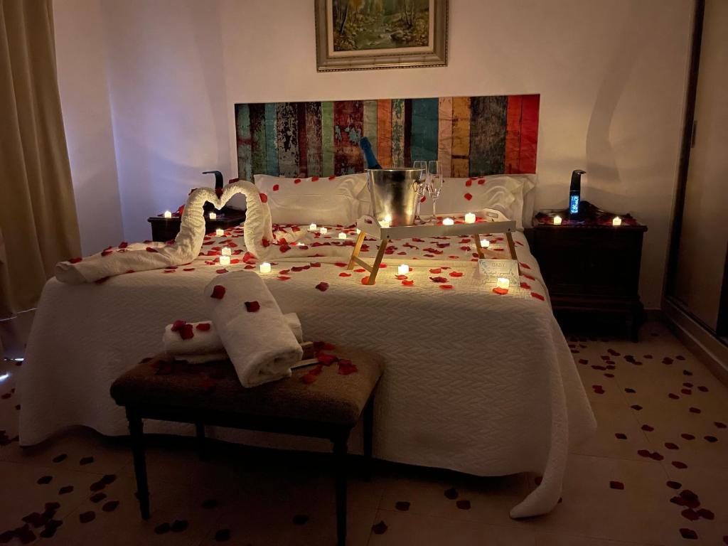 Hotel Aires de l'Emporda - 带露台的高级双人或双床间