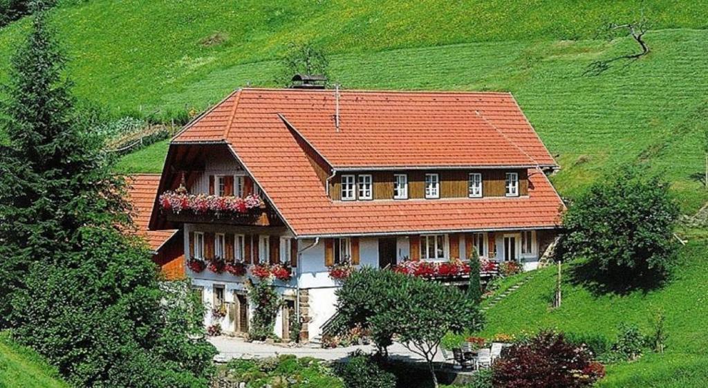 ein Haus mit orangefarbenem Dach auf einem Hügel in der Unterkunft Schembachhof in Bad Rippoldsau