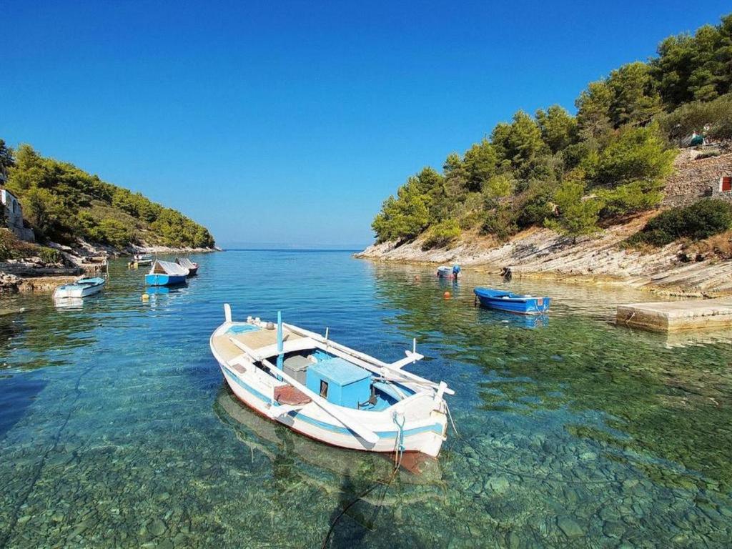 Fotografie z fotogalerie ubytování Holiday House Parive v destinaci Vela Luka