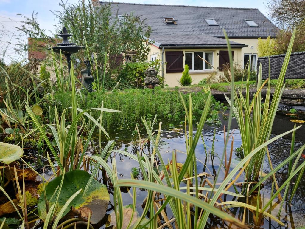 un jardín con un estanque frente a una casa en Le Petit Verger, 1 Impasse de La Fenouillere 61330 Ceauce, en Céaucé