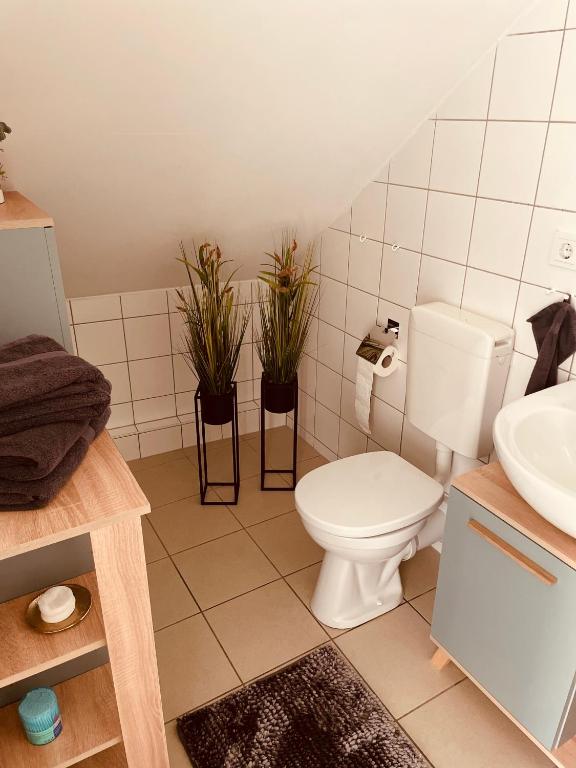 KM - Altstadtapartments Freiberg - 17