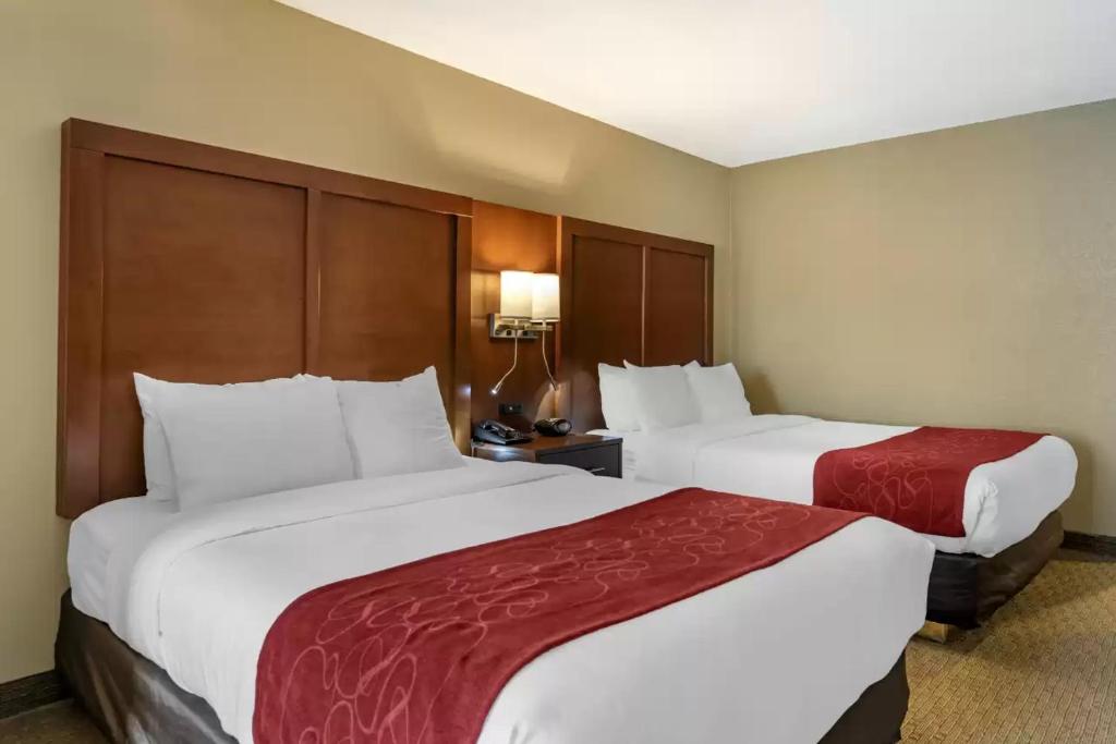 Comfort Suites Mason near Kings Island - Suite Queen - Non Fumatori