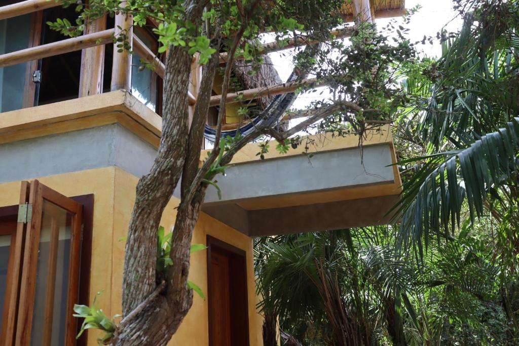 un edificio con un árbol delante de él en Pousada Colmeia - Praia de Santo André, Bahia, en Santa Cruz Cabrália