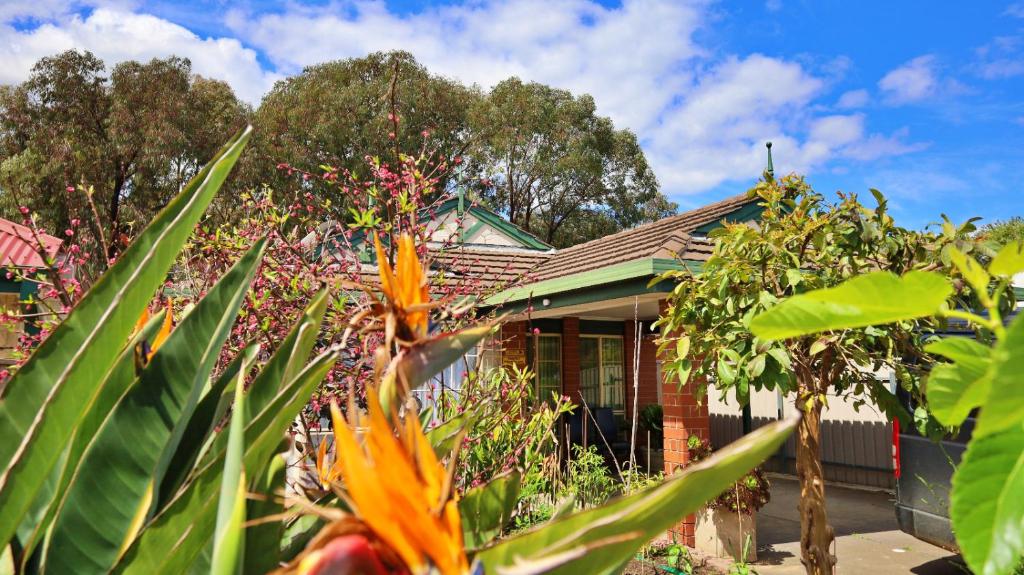 a house with plants in front of it at ParkViewAtMontagueFarm in Mawson Lakes