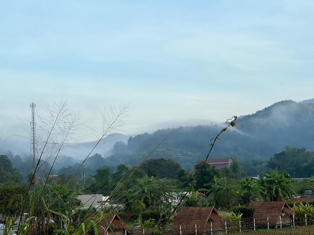 Ponginrakfarmstay ปงอินรักษ์ฟาร์มสเตย์ - Chambre Double Avec Salle De Bain Partagée