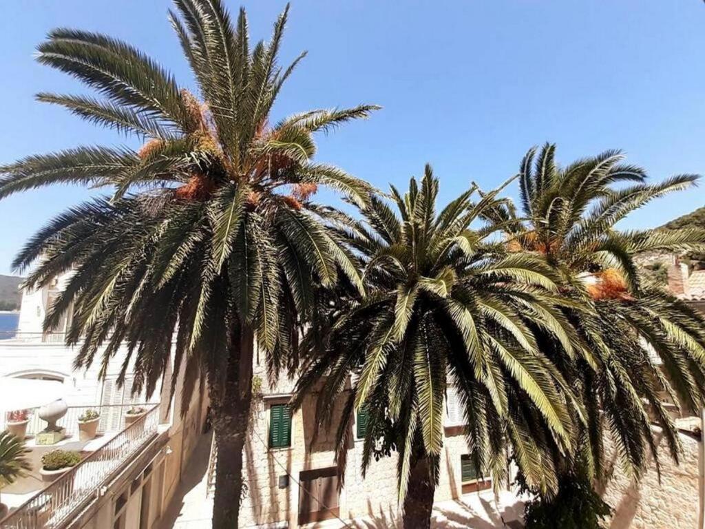 duas palmeiras em frente a um edifício em Casa Ruben, private stone house em Vis