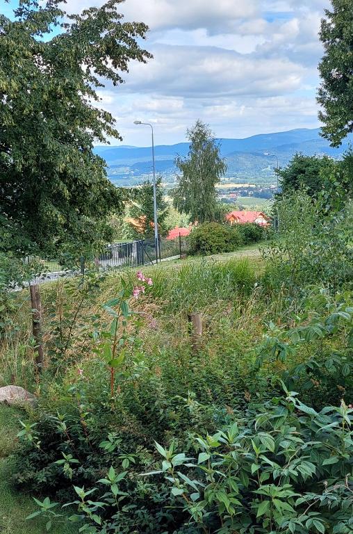 Príroda v okolí apartmánu