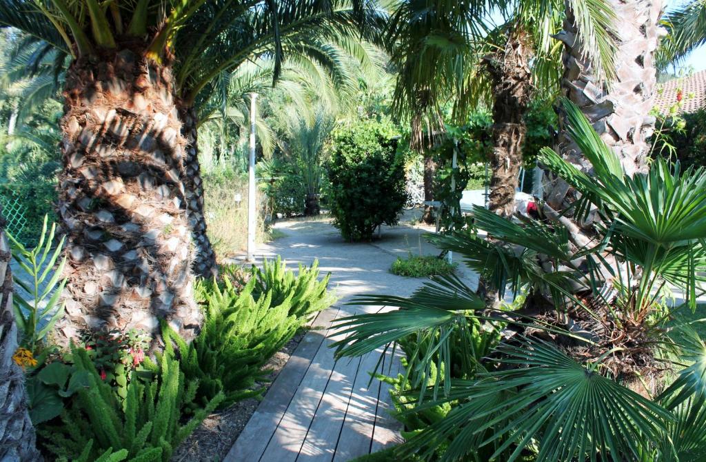 Ogród w obiekcie Le Mas de la Palmeraie - Appartement dans propriété privée au calme avec piscine et tennis