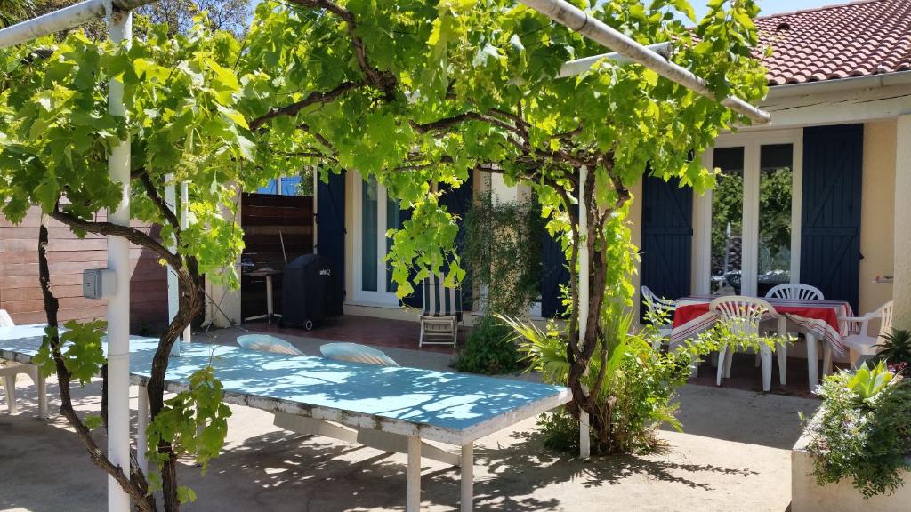Ogród w obiekcie Le Mas de la Palmeraie - Appartement dans propriété privée au calme avec piscine et tennis
