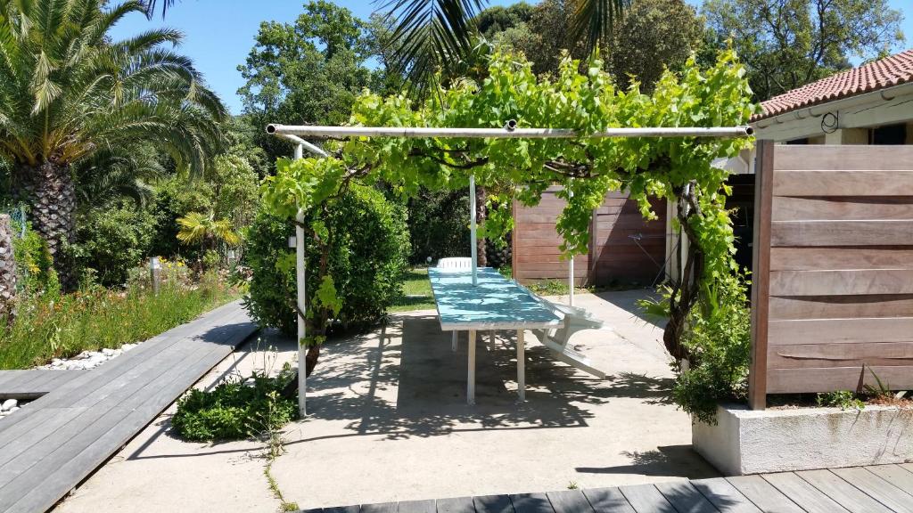 Ogród w obiekcie Le Mas de la Palmeraie - Appartement dans propriété privée au calme avec piscine et tennis
