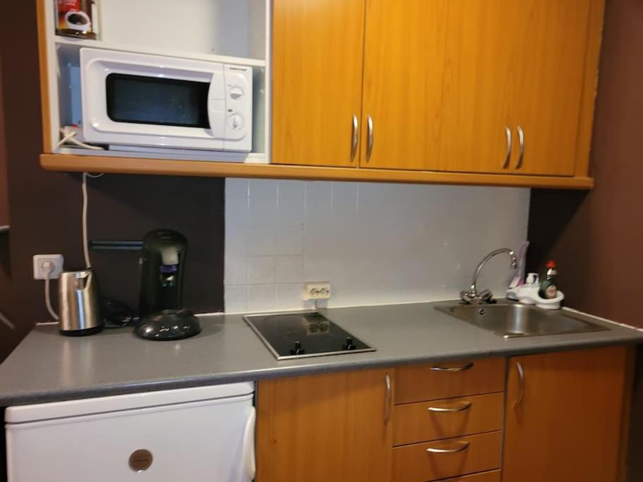 cocina con fregadero y microondas en Mona Lisa Apartment, en Akureyri