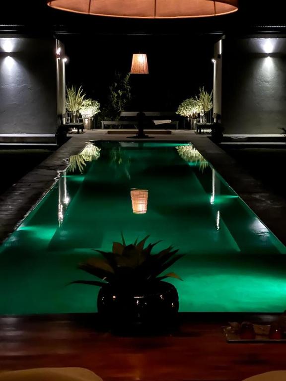 a green swimming pool with a plant in the middle at Casa Kaufman in Chascomús