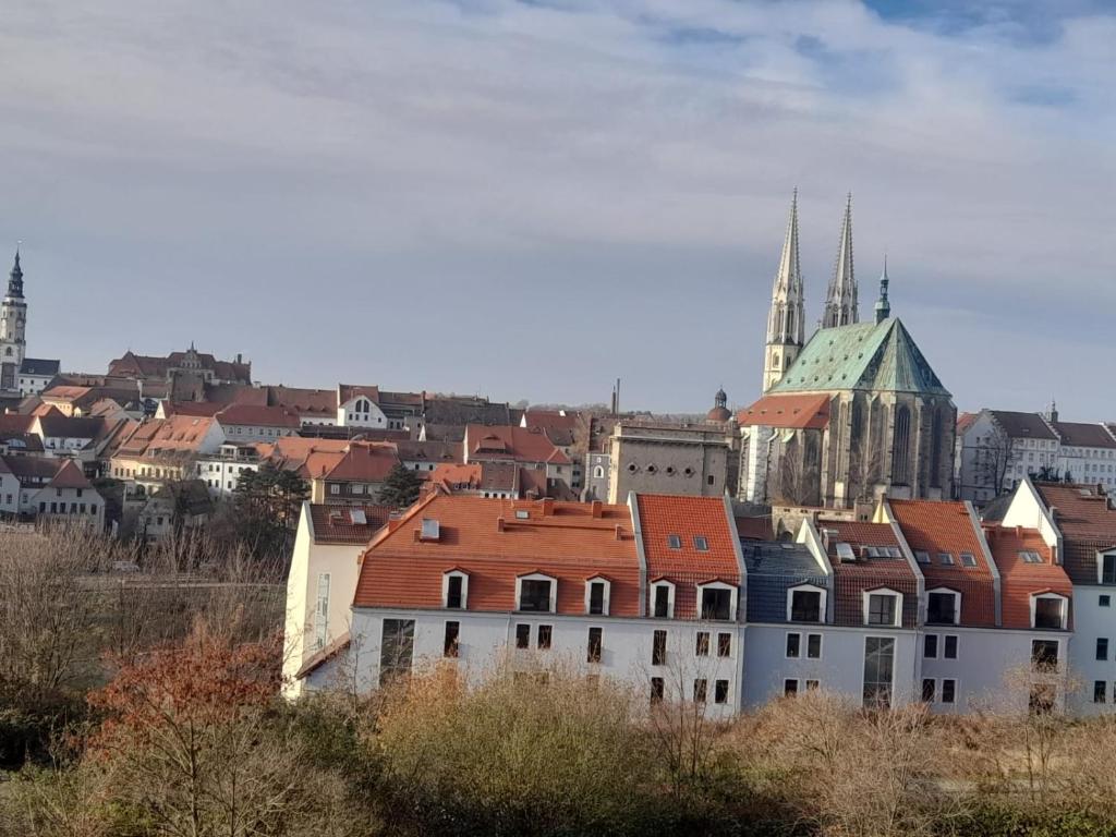 uma vista para uma cidade com uma igreja e edifícios em Mieszkanie z widokiem na Görlitz em Zgorzelec