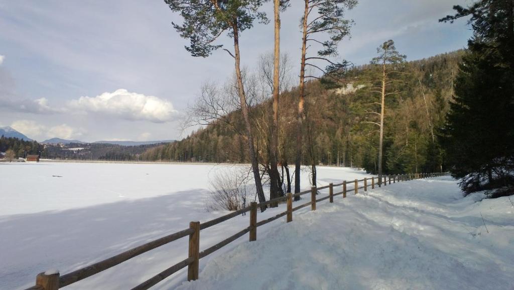 Příroda nedaleko apartmánu