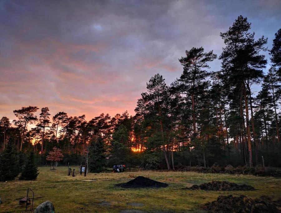 ein Sonnenuntergang auf einem Feld mit einer Gruppe von Bäumen in der Unterkunft Gästesuite am Waldrand, Ausstieg auf Zeit in Heideblick