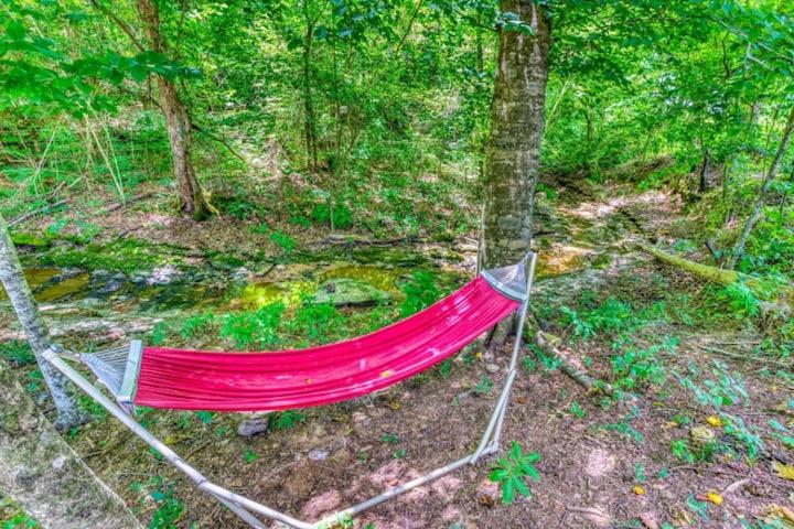 Příroda nedaleko luxury tent