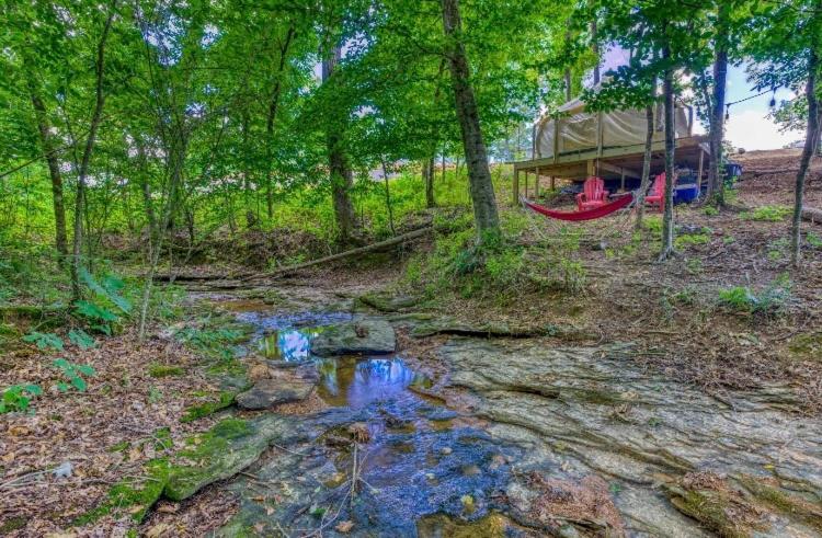 Příroda nedaleko luxury tent