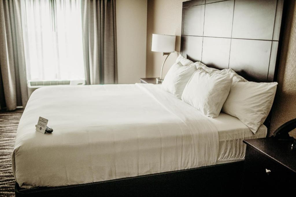 Cobblestone Hotel & Suites International Falls - Estudio - Acceso Para Personas Con Discapacidad