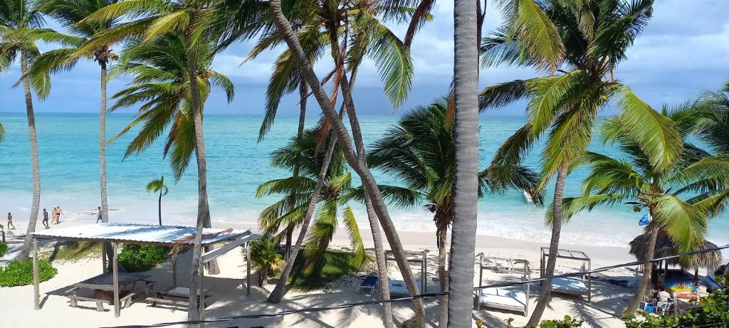 vistas a una playa con palmeras y al océano en Private room overlooking the beach, en Punta Cana