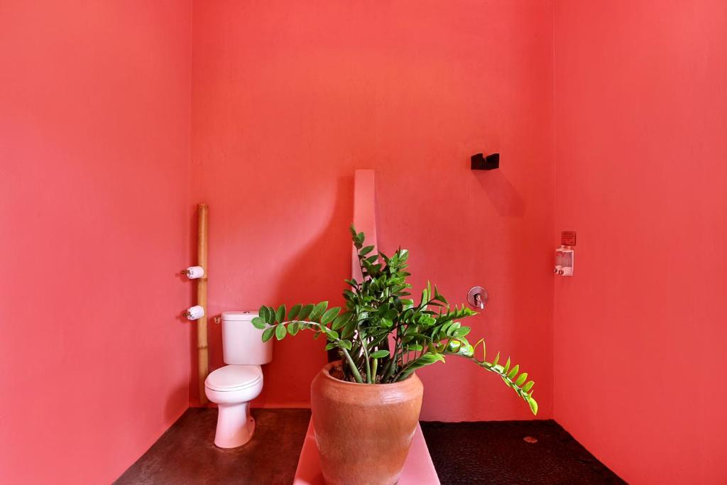 PinkCoco Uluwatu - Constant Surprises & for Cool Adults Only - Grande Pool View - For Cool Adults Only